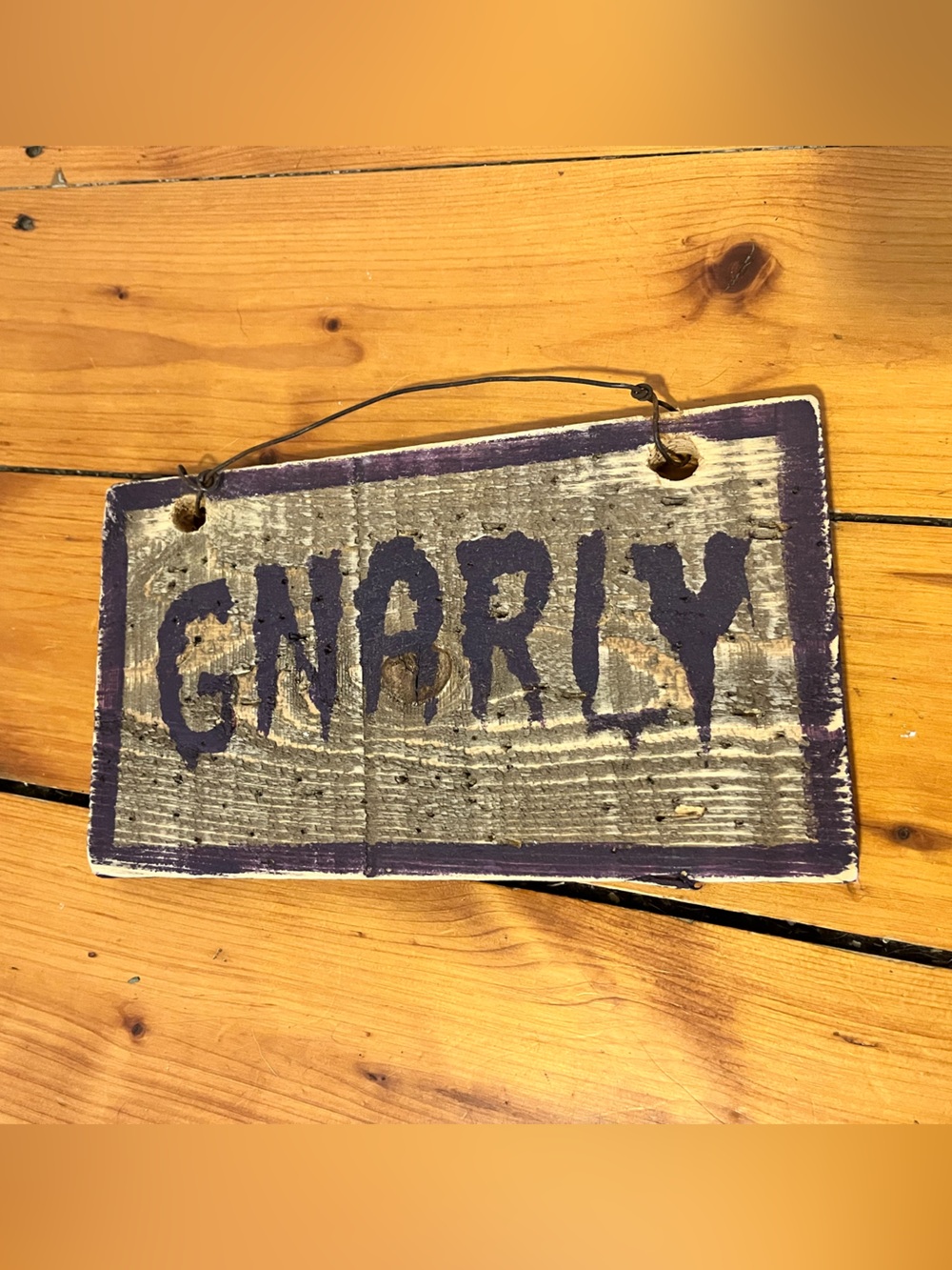 Brandy Melville Purple and Gray 'GNARLY' Wood Wall Sign